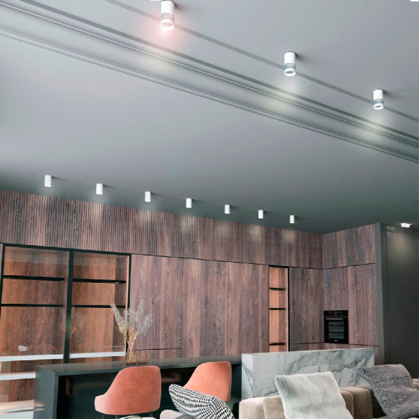 370730 OVER NT21 255 белый Светильник накладной IP20 GU10 9W 235V ELINA