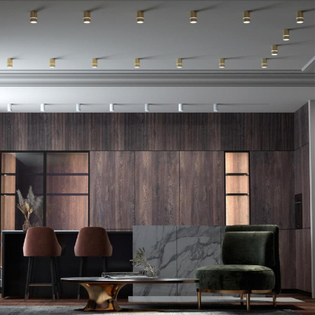 370734 OVER NT21 256 золото Светильник накладной IP20 GU10 9W 235V ELINA