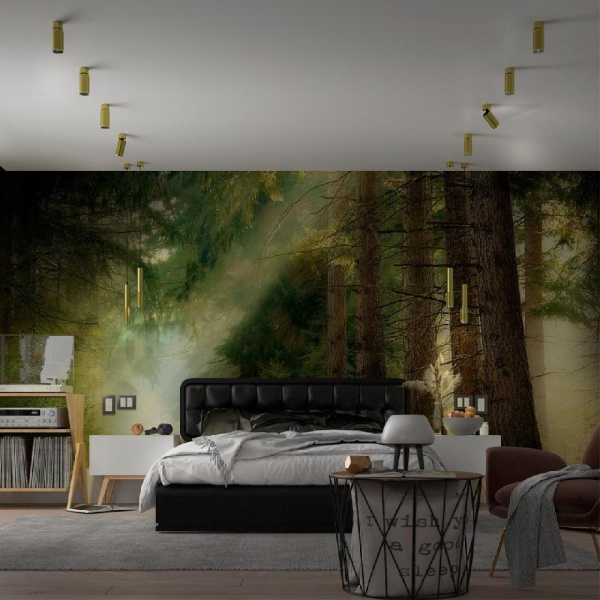 370753 OVER NT21 245 золото Светильник накладной IP20 GU10 50W 220V MAIS