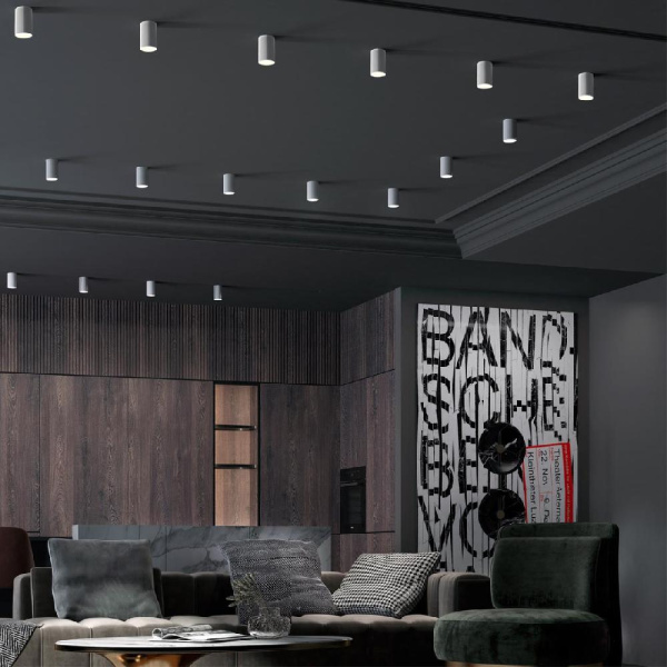 370726 OVER NT21 257 белый Светильник накладной IP20 GU10 9W 235V ELINA