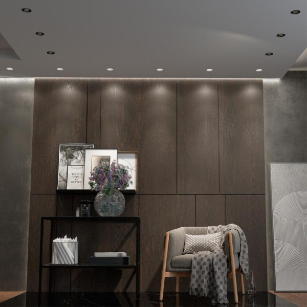 358908 SPOT NT22 268 белый Встраиваемый светодиодный светильник с переключателем цветовой температуры IP20 LED 3000К\4000К\6000К 12W 220V LANG