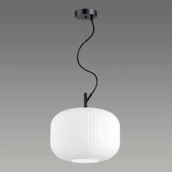 4754/1 PENDANT ODL21 489 белый/черный Подвес E27 60W ROOFI