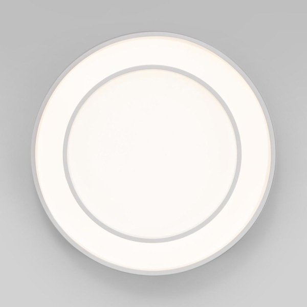 Потолочный светодиодный светильник с регулировкой яркости и цветовой температуры 90331/2 белый