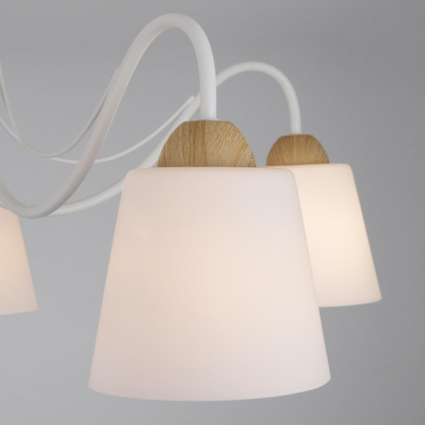 Потолочная люстра со стеклянными плафонами 70062/5 белый