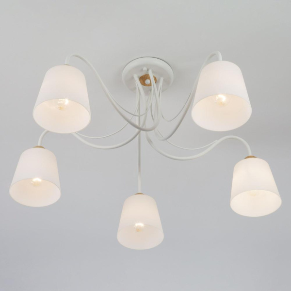 Потолочная люстра со стеклянными плафонами 70062/5 белый