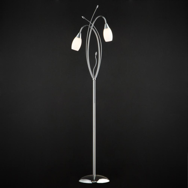 Напольный светильник со стеклянными плафонами 22080/2F хром