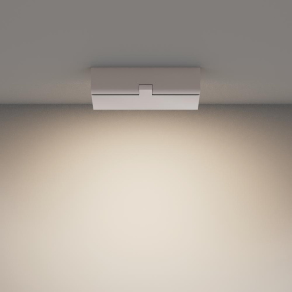 Потолочный светильник Technical C133CL-12W4K-W