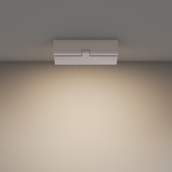 Потолочный светильник Technical C133CL-12W3K-W