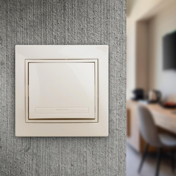 1-101-02 Intro Выключатель, 10А-250В, IP20, СУ, Plano, сл.кость (10/200/2400)