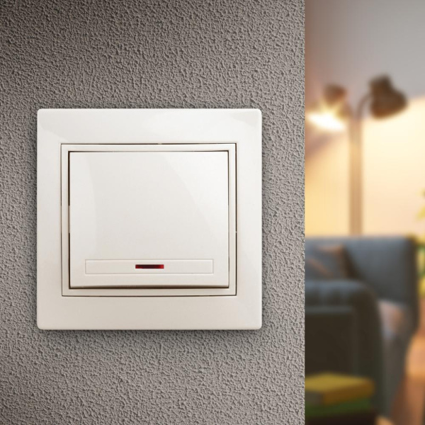 1-102-02 Intro Выключатель с подсветкой, 10А-250В, IP20, СУ, Plano, сл.кость (10/200/2400)