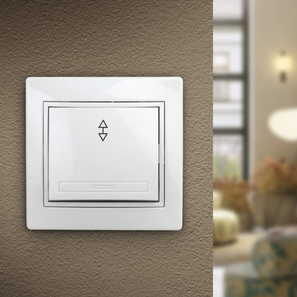 1-103-01 Intro Переключатель, 10А-250В, IP20, СУ, Plano, белый (10/200/2400)