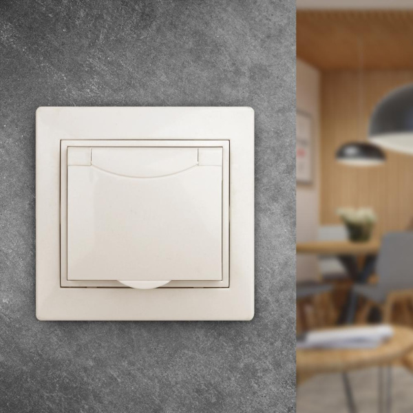 1-203-02 Intro Розетка 2P+E Schuko с крышкой, 16А-250В, IP20, СУ, Plano, сл.кость (10/100/1500)