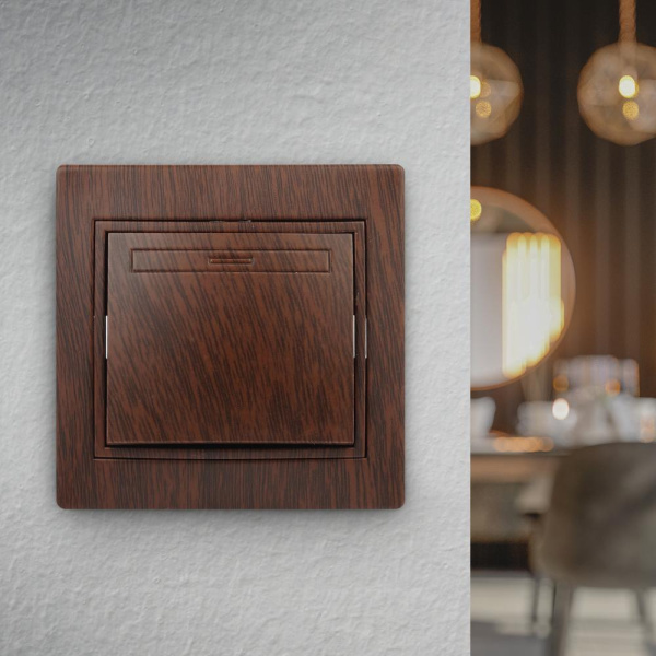 1-101-10 Intro Выключатель, 10А-250В, IP20, СУ, Plano, венге (10/200/2400)