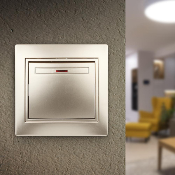 1-102-04 Intro Выключатель с подсветкой, 10А-250В, IP20, СУ, Plano, шампань (10/200/2400)