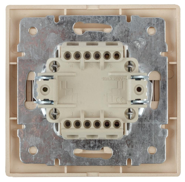 1-103-04 Intro Переключатель, 10А-250В, IP20, СУ, Plano, шампань (10/200/3200)