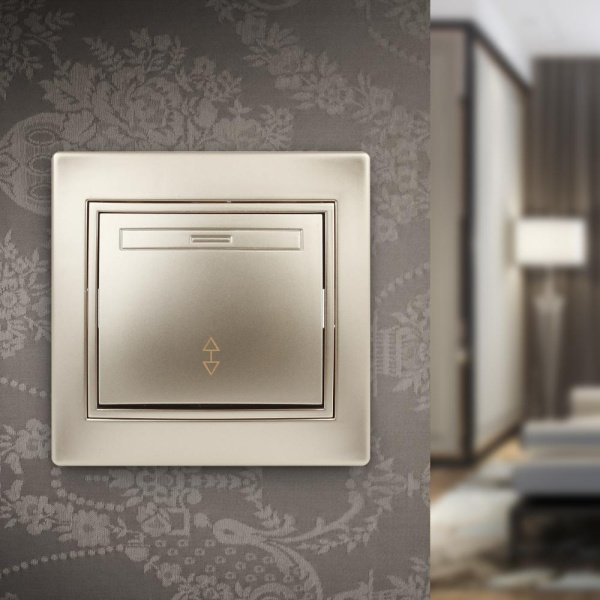 1-103-04 Intro Переключатель, 10А-250В, IP20, СУ, Plano, шампань (10/200/3200)