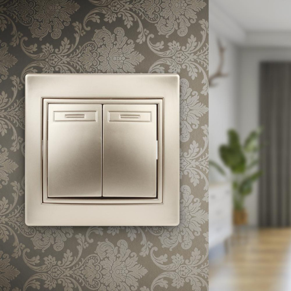 1-104-04 Intro Выключатель двойной, 10А-250В, IP20, СУ, Plano, шампань (10/200/2400)