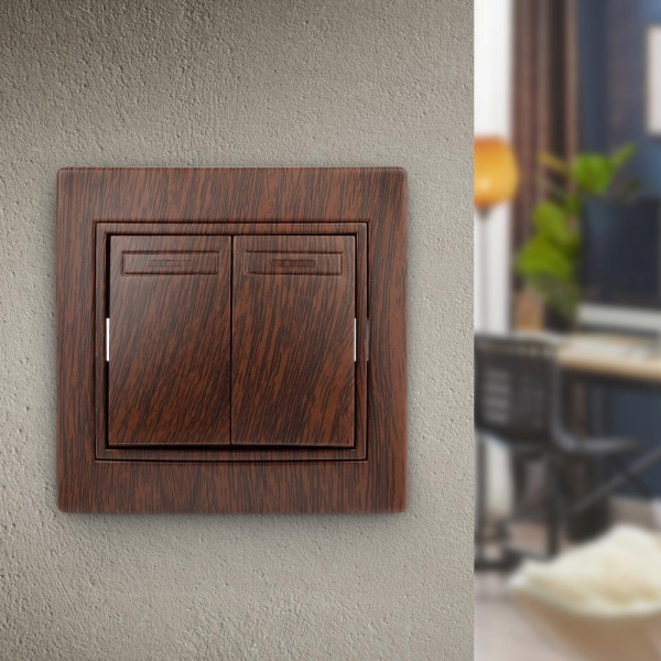 1-104-10 Intro Выключатель двойной, 10А-250В, IP20, СУ, Plano, венге (10/200/2400)