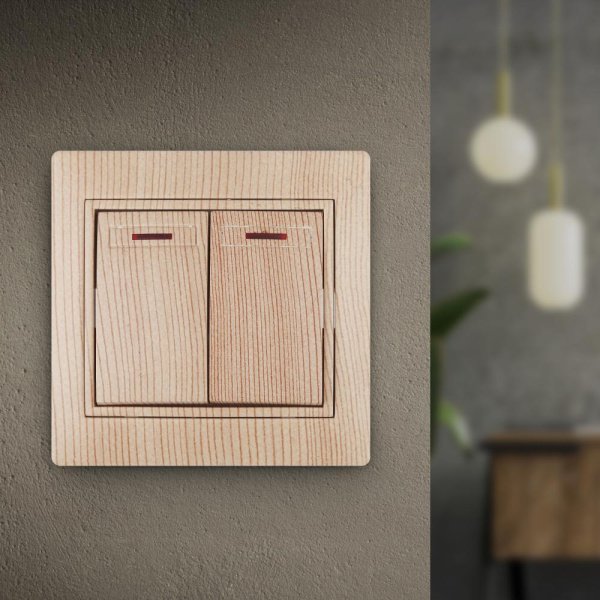 1-105-11 Intro Выключатель двойной с подсветкой, 10А-250В, IP20, СУ, Plano, сосна (10/200/2000)