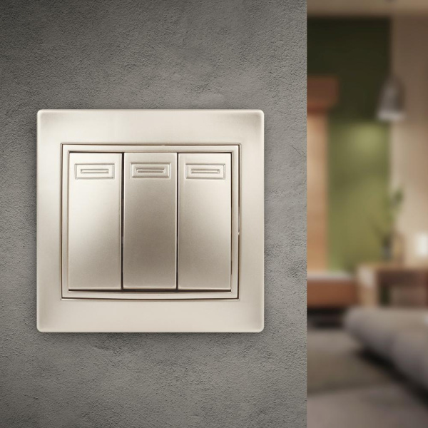 1-106-04 Intro Выключатель тройной, 10А-250В, IP20, СУ, Plano, шампань (10/200/2400)