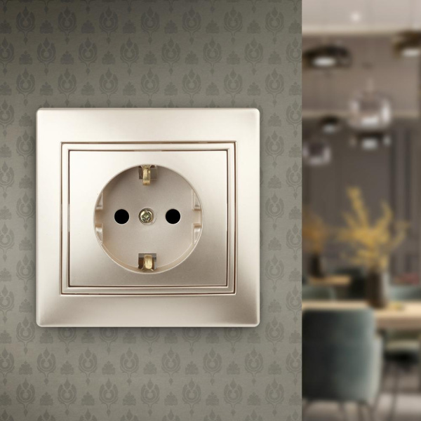 1-202-04 Intro Розетка 2P+E Schuko, 16А-250В, IP20, СУ, Plano, шампань (10/200/2000)