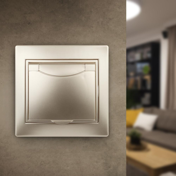 1-203-04 Intro Розетка 2P+E Schuko с крышкой, 16А-250В, IP20, СУ, Plano, шампань (10/100/1500)