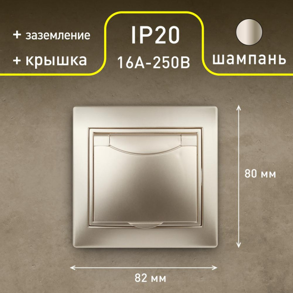 1-203-04 Intro Розетка 2P+E Schuko с крышкой, 16А-250В, IP20, СУ, Plano, шампань (10/100/1500)