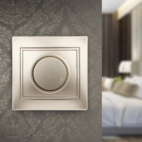 1-401-04 Intro Светорегулятор поворотный, 600Вт 230В, IP20, СУ, Plano, шампань (10/200/2000)