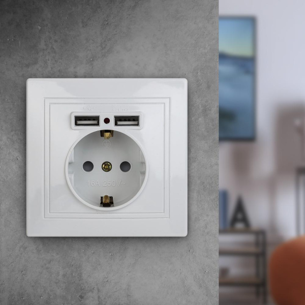 1-410-01 Intro Розетка+USB, IP20, СУ, Plano, белый (10/100/2000)