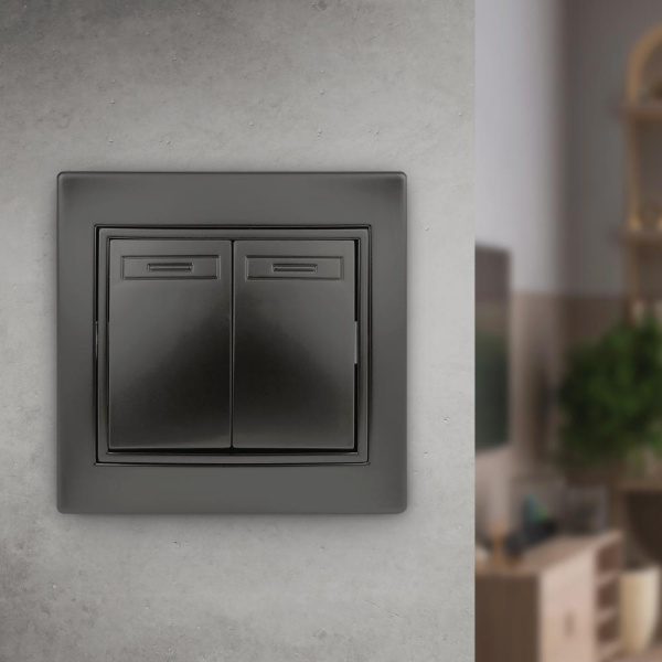 1-104-05 Intro Выключатель двойной, 10А-250В, IP20, СУ, Plano, антрацит (10/200/2400)