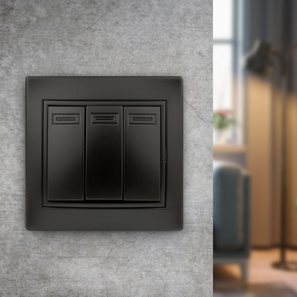 1-106-05 Intro Выключатель тройной, 10А-250В, IP20, СУ, Plano, антрацит (10/200/2400)