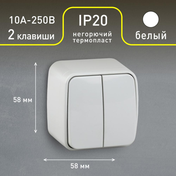 3-104-01 Intro Выключатель двойной, 10А-250В, IP20, ОУ, Polo, белый (18/360/4320)