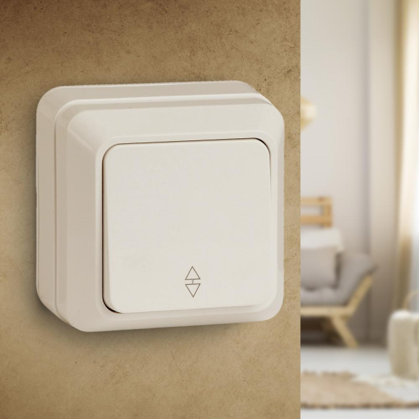 2-103-02 Intro Переключатель, 10А-250В, IP20, ОУ, Quadro, сл.кость (10/200/3600)