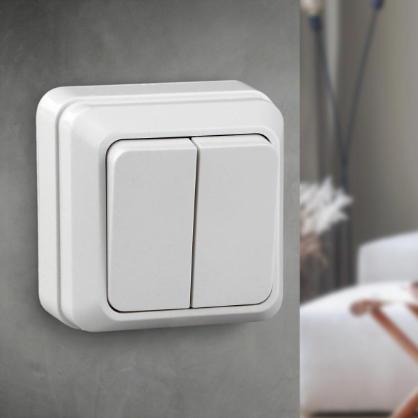 2-104-01 Intro Выключатель двойной, 10А-250В, IP20, ОУ, Quadro, белый (10/200/3600)