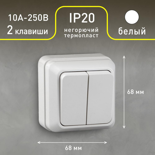 2-104-01 Intro Выключатель двойной, 10А-250В, IP20, ОУ, Quadro, белый (10/200/3600)