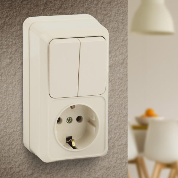 2-706-02 Intro Блок розетка+выкл. двойной верт. 10(16)А-250В, IP20, ОУ, Quadro, сл.кость (6/120/1440)