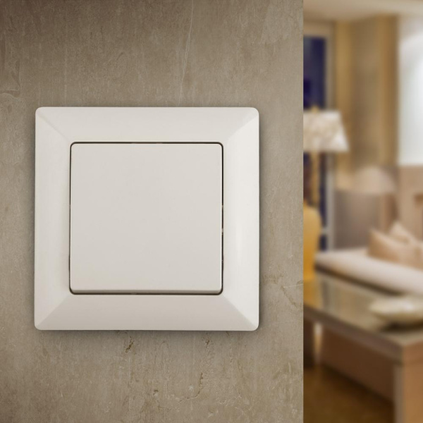 4-101-02 Intro Выключатель, 10А-250В, СУ, Solo, сл.кость (10/200/2400)