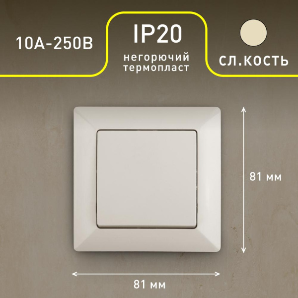 4-101-02 Intro Выключатель, 10А-250В, СУ, Solo, сл.кость (10/200/2400)