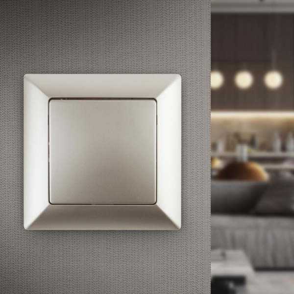 4-101-04 Intro Выключатель, 10А-250В, СУ, Solo, шампань (10/200/2000)