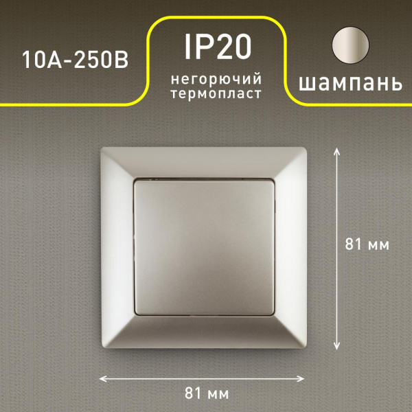 4-101-04 Intro Выключатель, 10А-250В, СУ, Solo, шампань (10/200/2000)
