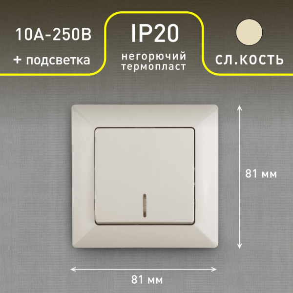 4-102-02 Intro Выключатель с подсветкой, 10А-250В, СУ, Solo, сл.кость (10/200/2400)