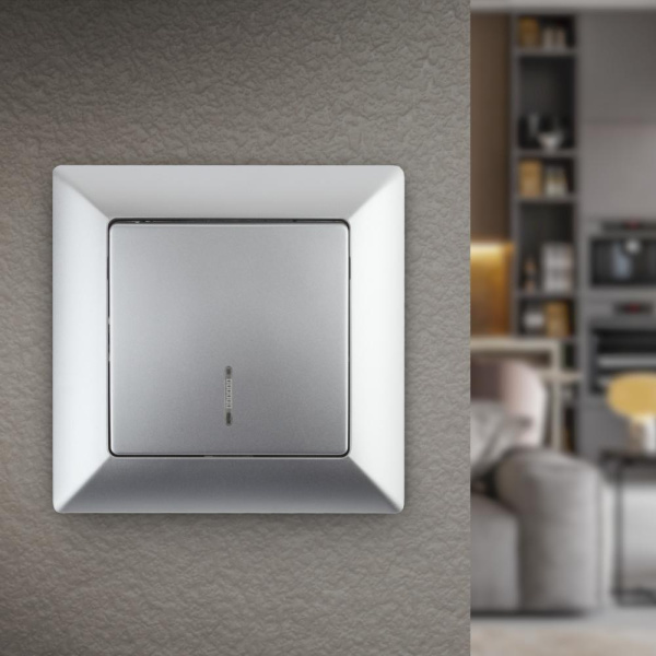 4-102-03 Intro Выключатель с подсветкой, 10А-250В, СУ, Solo, алюминий (10/200/2400)