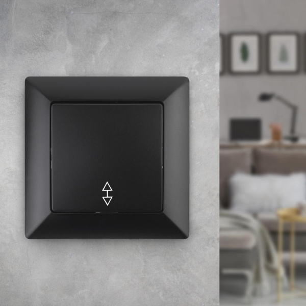 4-103-05 Intro Переключатель, 10А-250В, СУ, Solo, антрацит (10/200/3600)