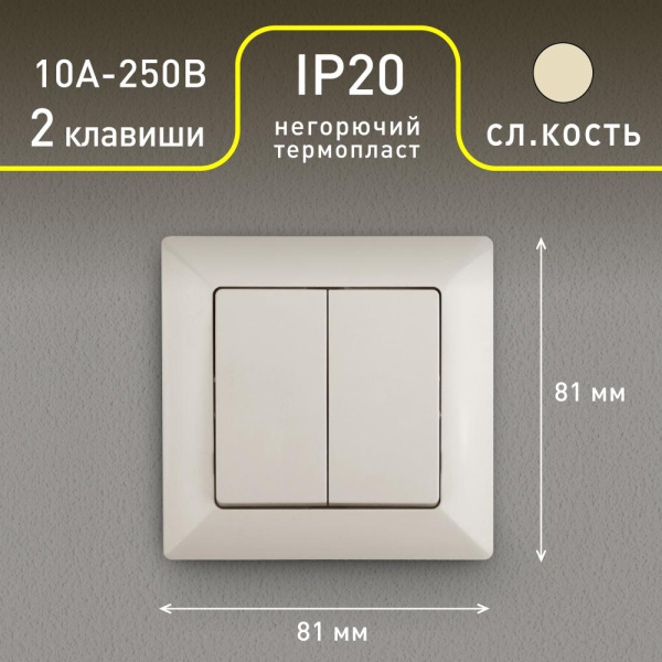 4-104-02 Intro Выключатель двойной, 10А-250В, СУ, Solo, сл.кость (10/200/2400)