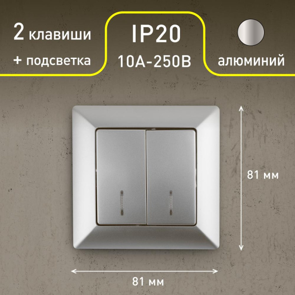 4-105-03 Intro Выключатель двойной с подсветкой, 10А-250В, СУ, Solo, алюминий (10/200/2000)