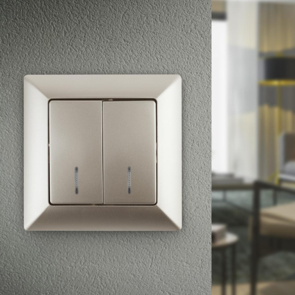 4-105-04 Intro Выключатель двойной с подсветкой, 10А-250В, СУ, Solo, шампань (10/200/2000)