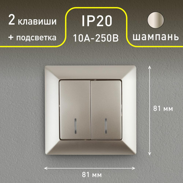 4-105-04 Intro Выключатель двойной с подсветкой, 10А-250В, СУ, Solo, шампань (10/200/2000)