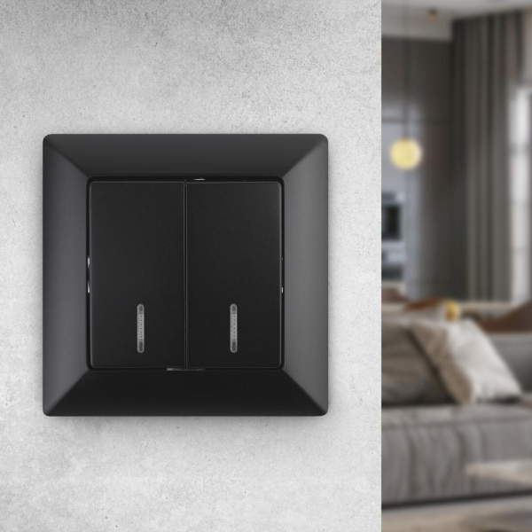 4-105-05 Intro Выключатель двойной с подсветкой, 10А-250В, СУ, Solo, антрацит (10/200/2400)