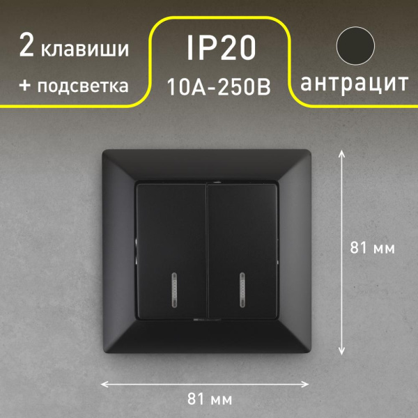 4-105-05 Intro Выключатель двойной с подсветкой, 10А-250В, СУ, Solo, антрацит (10/200/2400)