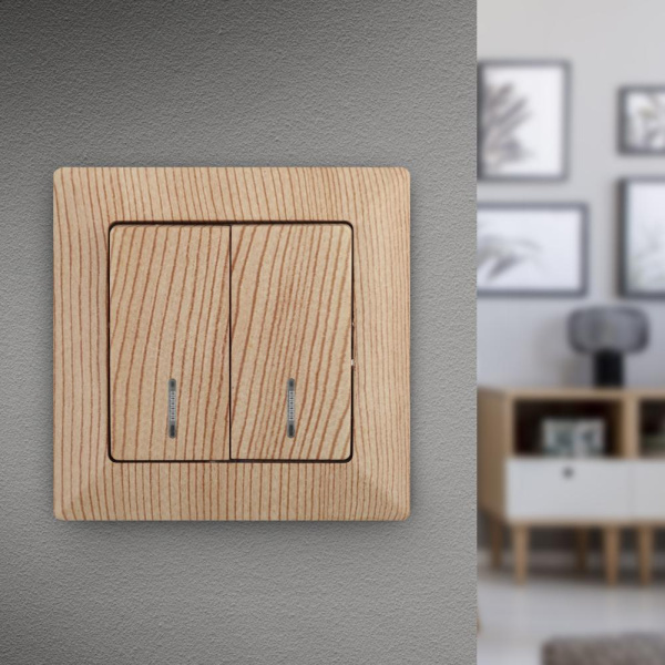 4-105-11 Intro Выключатель двойной с подсветкой, 10А-250В, СУ, Solo, сосна (10/200/2000)